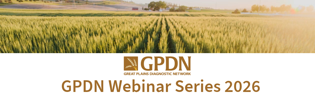 Banner showing a sunlit wheat field with the GPDN logo and the text ‘GPDN Webinar Series 2026.’