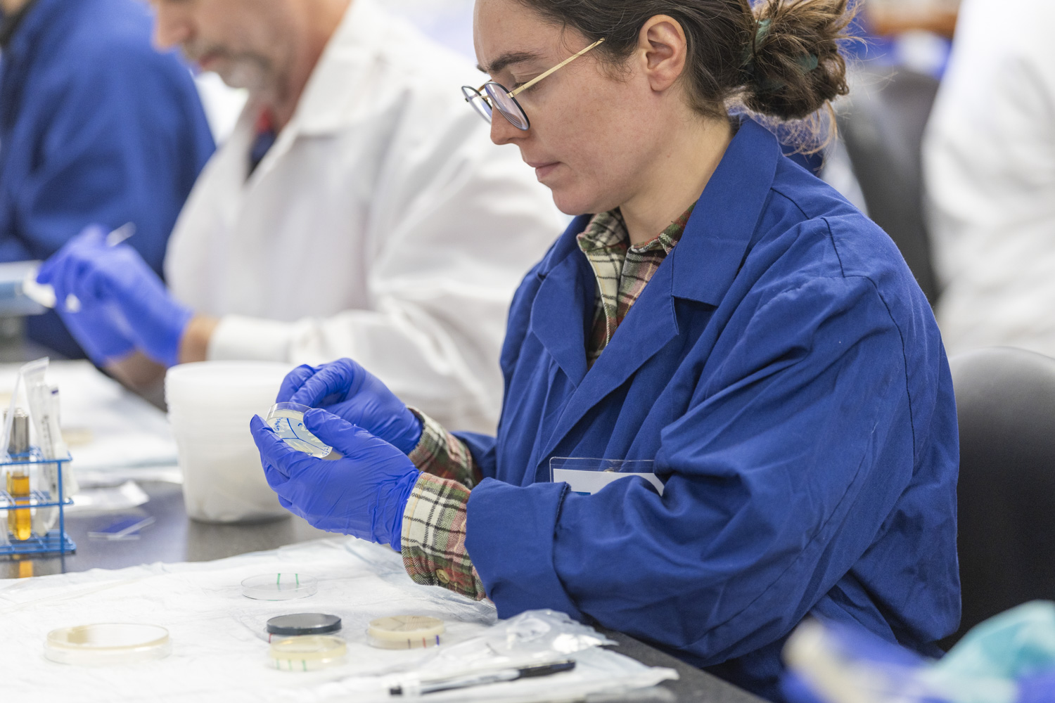 A woman in a lab coat swabbing a small petri dish