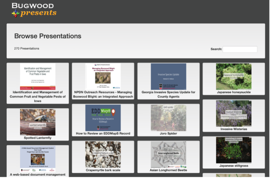 A webpage showing different options of presentations for viewing