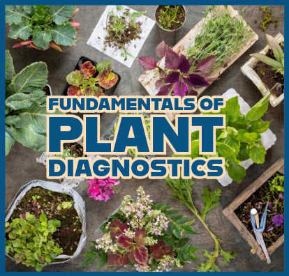 the fundamentals of plant diagnostics image showing different species of plants on e grey backdrop